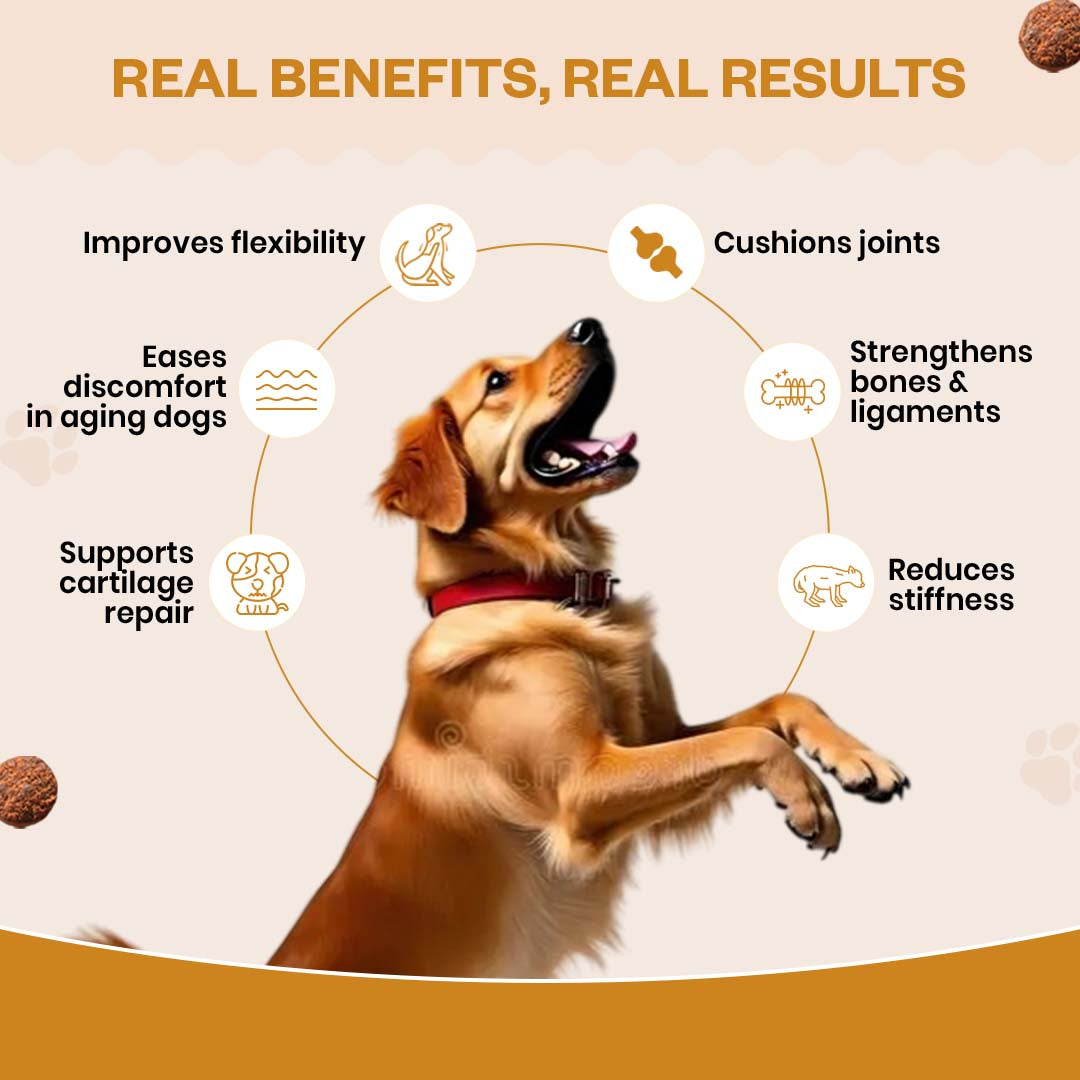 TailsAlive Hip & Joint Chicken Flavor Soft Chews Supplements for Dogs Dogs-Health & Wellness TailsAlive