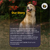 FurBall Story Fever, Cough & Cold Relief Syrup for Dogs and Cats Both-Health & Wellness Furball Story