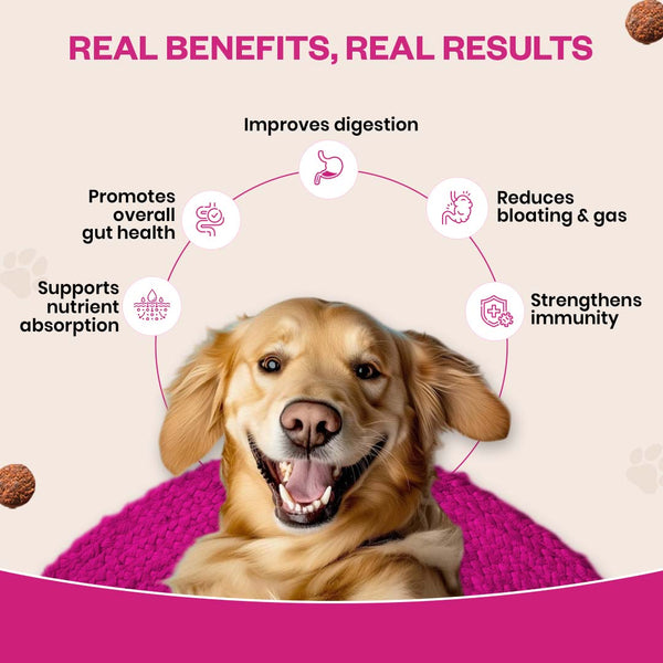 TailsAlive Probiotic Chicken Flavor Soft Chews Supplements for Dogs