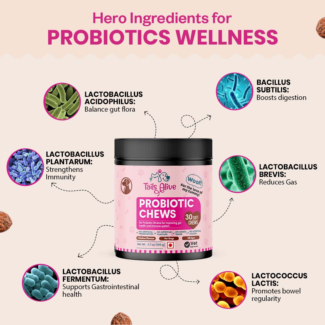 TailsAlive Probiotic Chicken Flavor Soft Chews Supplements for Dogs Dogs-Health & Wellness TailsAlive