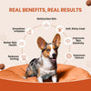 TailsAlive Skin & Coat Soft Chews Supplement for Dogs Dogs-Health & Wellness TailsAlive