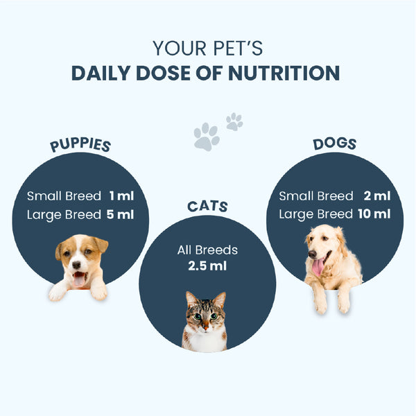 FurBall Story Supertonic Overall Wellness Syrup for Dogs and Cats