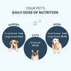 FurBall Story Supertonic Overall Wellness Syrup for Dogs and Cats Both-Health & Wellness Furball Story
