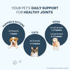 FurBall Story Jump O Joint Care tablets for Dogs and Cats Both-Health & Wellness Furball Story
