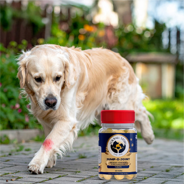 FurBall Story Jump O Joint Care tablets for Dogs and Cats
