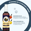 FurBall Story Jump O Joint Care Oil for Dogs and Cats Both-Health & Wellness Furball Story