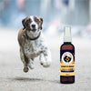 FurBall Story Jump O Joint Care Oil for Dogs and Cats Both-Health & Wellness Furball Story