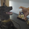 FurBall Story Canni Clean Oral Hygiene Mouth Spray for Dogs and Cats Dogs-Health & Wellness Furball Story