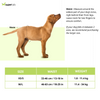 OUT! Disposable Female Diapers for Dogs (46x63cm) Dogs-Health & Wellness OUT!