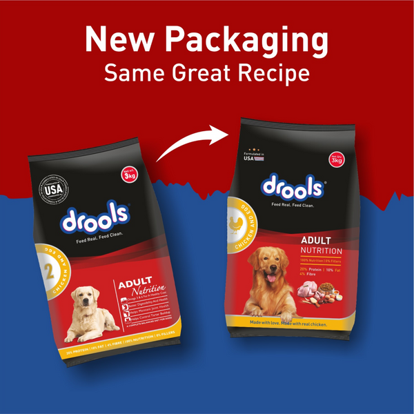 Drools Chicken and Egg Adult Dog Dry Food - Main Image