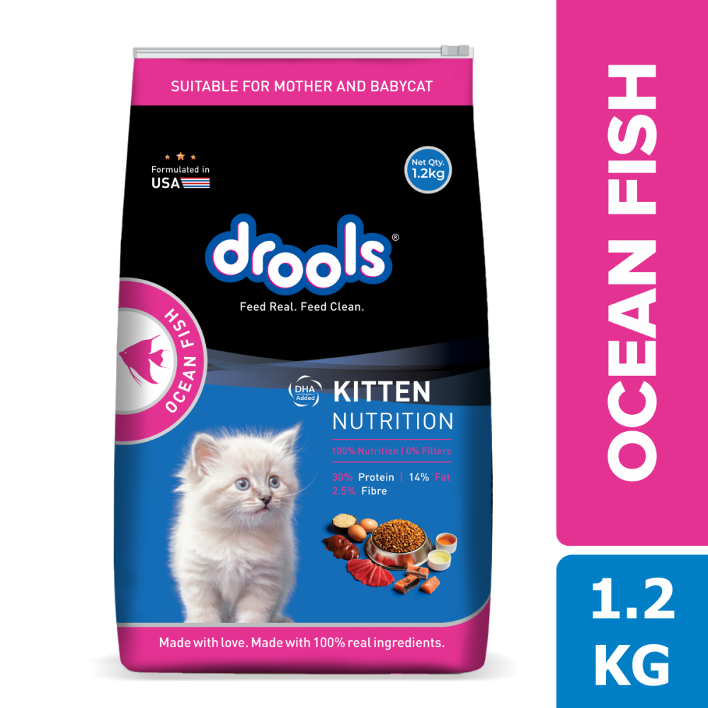 Drools Ocean Fish Kitten Cat Dry Food