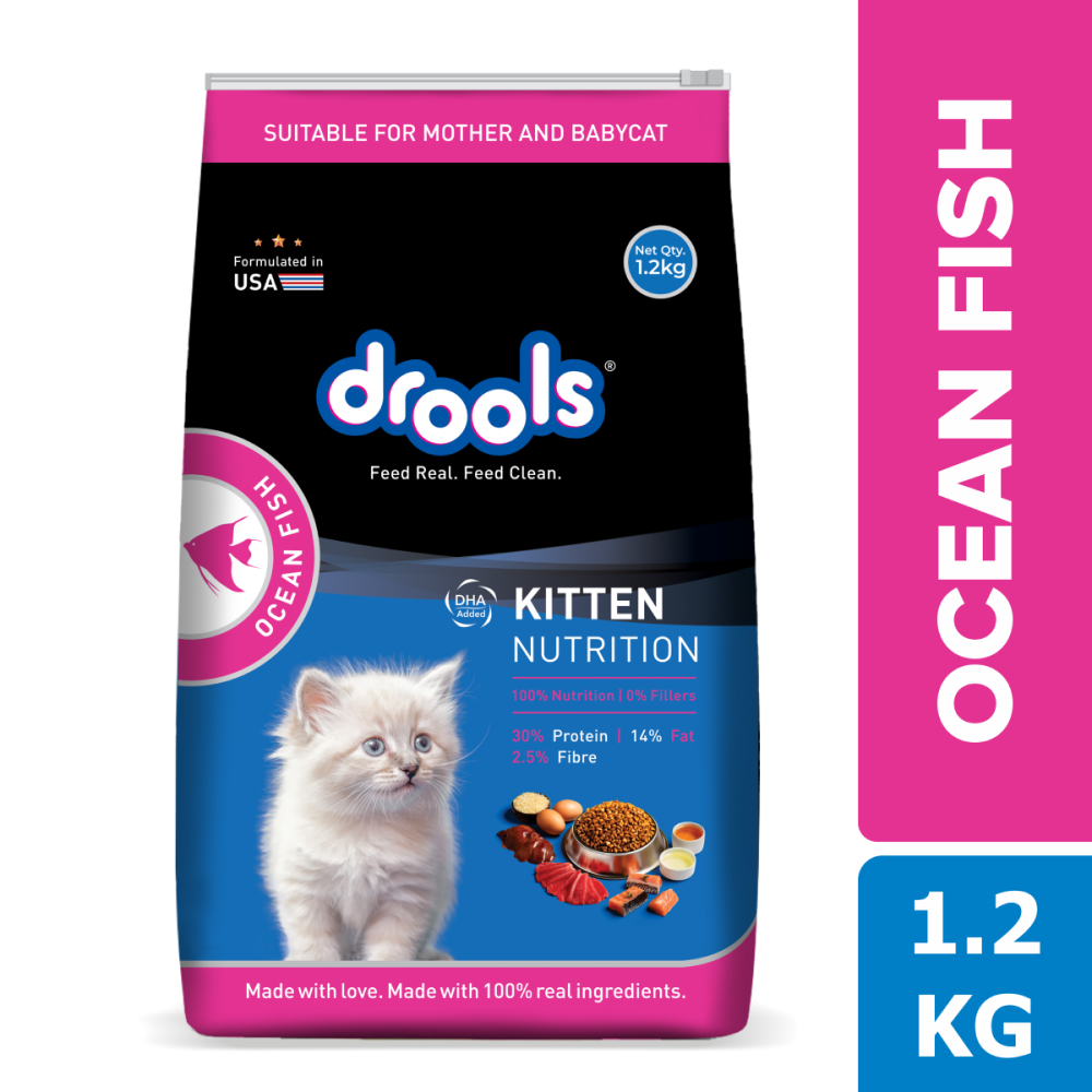 Drools Ocean Fish Kitten Cat Dry Food Cats- Dry food Drools 1.2kg