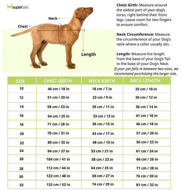 Dogobow Dino Raincoat for Dogs and Cats (Green)