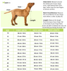 Dogobow Dino Raincoat for Dogs and Cats (Green Camo) Dogs-Clothing & Accessories Dogobow Dropship