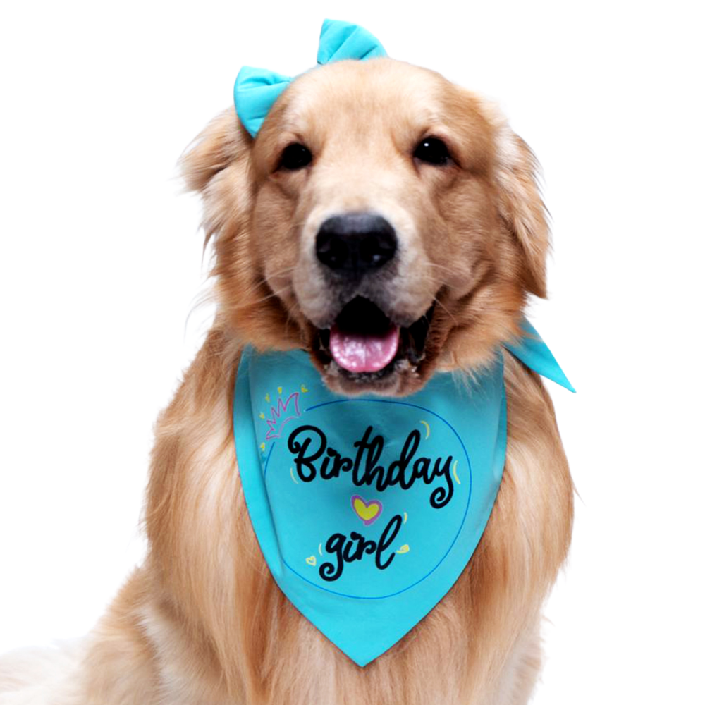 Dogobow Birthday Girl Scarf for Dogs (Teal blue) (Get a Bow Free) Dogs-Clothing & Accessories Dogobow Dropship S