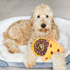 Zippy Paws Chocolate Donutz Plush Toy for Dogs Dogs-Toys Zippy Paws