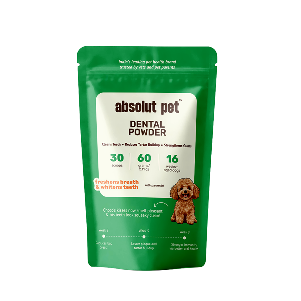 Absolut Pet Oral Care Plaque & Tartar Remover Powder Dog Supplement Dogs-Health & Wellness Absolut Pet 60g
