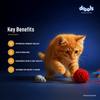 Drools Chicken Mousse Kitten Cat Wet Food Cats-Wet Food Drools