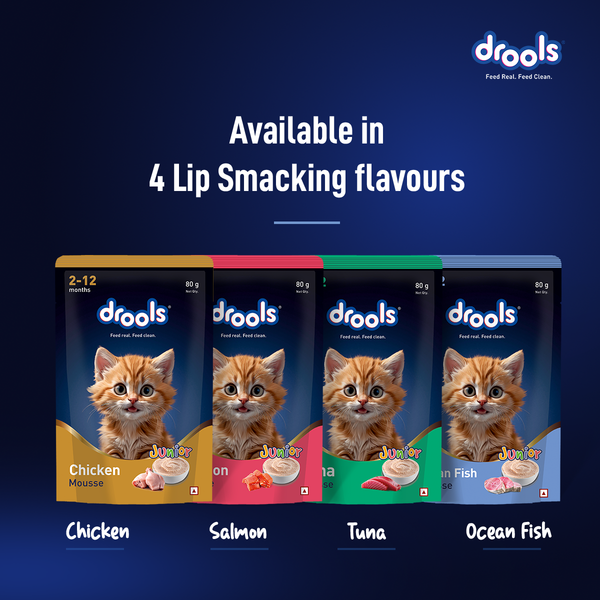 Drools Chicken Mousse Kitten Cat Wet Food