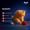 Drools Salmon Mousse Kitten Cat Wet Food Cats-Wet Food Drools