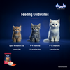 Drools Salmon Mousse Kitten Cat Wet Food Cats-Wet Food Drools