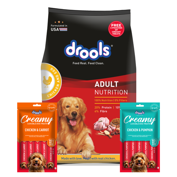 Drools Chicken and Egg Adult Dry Dog Food with Free Creamy Treat Pouches