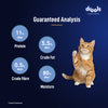 Drools Ocean Fish Mousse Adult Cat Wet Food Cats-Wet Food Drools