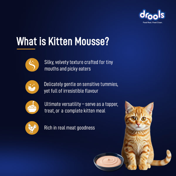 Drools Chicken Mousse Kitten Cat Wet Food
