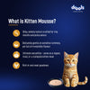 Drools Chicken Mousse Kitten Cat Wet Food Cats-Wet Food Drools