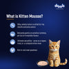 Drools Ocean Fish Mousse Kitten Cat Wet Food Cats-Wet Food Drools