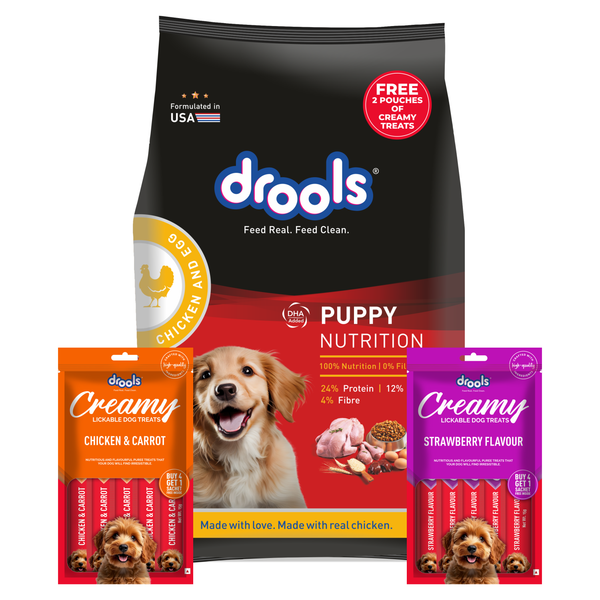 Drools Chicken and Egg Puppy Dry Dog Food with Free Creamy Treat Pouch