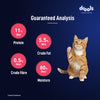 Drools Salmon Mousse Adult Cat Wet Food Cats-Wet Food Drools