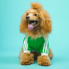 Pets Way Dive In Stripes Tshirt for Dogs (Forest) Dogs-Clothing & Accessories Pets Way Dropship XS