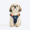 HUFT Walkmate Harness for Dogs (Navy) Dogs-Collar, Leashes, harnesses Heads Up for Tails S
