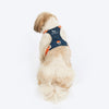 HUFT Walkmate Harness for Dogs (Navy) Dogs-Collar, Leashes, harnesses Heads Up for Tails