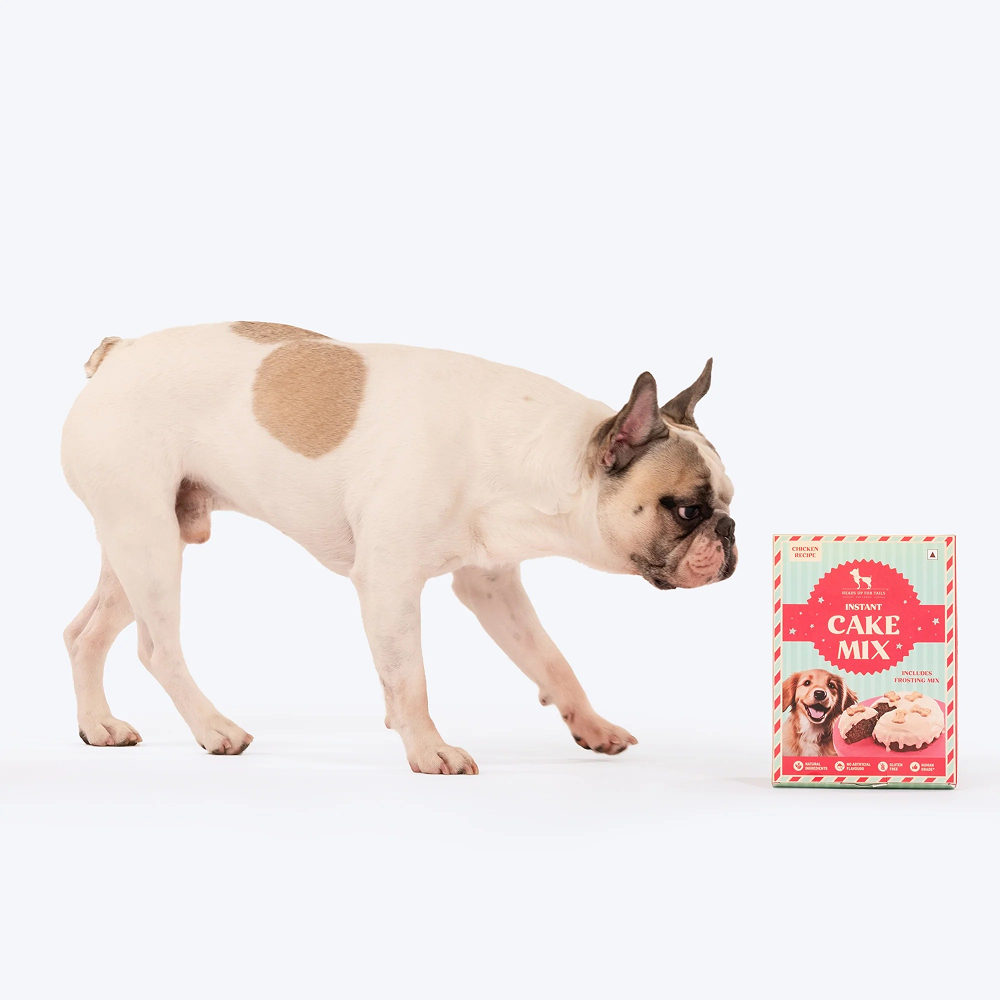 HUFT Gluten Free Instant Chicken Cake Frosting Mix Dog Treats Dog Treats + Others Heads Up for Tails