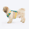 HUFT Walkmate Harness for Dogs (Teal Green) Dogs-Collar, Leashes, harnesses Heads Up for Tails