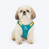 HUFT Walkmate Harness for Dogs (Teal Green) Dogs-Collar, Leashes, harnesses Heads Up for Tails S
