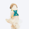 HUFT Walkmate Harness for Dogs (Teal Green) Dogs-Collar, Leashes, harnesses Heads Up for Tails