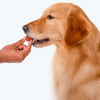 HUFT Gluten Free Nutri Chicken Liver Recipe Immunity Support Dog Treats Dog Treats + Others Heads Up for Tails