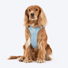 HUFT Walkmate Harness for Dogs (Slate Blue) Dogs-Collar, Leashes, harnesses Heads Up for Tails S