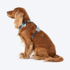 HUFT Walkmate Harness for Dogs (Slate Blue) Dogs-Collar, Leashes, harnesses Heads Up for Tails