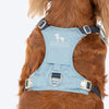 HUFT Walkmate Harness for Dogs (Slate Blue) Dogs-Collar, Leashes, harnesses Heads Up for Tails