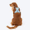 HUFT Walkmate Harness for Dogs (Slate Blue) Dogs-Collar, Leashes, harnesses Heads Up for Tails