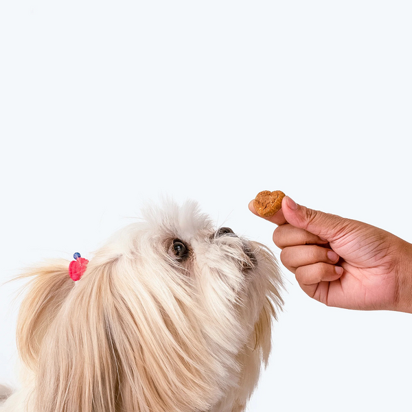 HUFT Gluten Free Nutri Chicken Liver Recipe Digestive Healthy Dog Treats