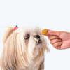 HUFT Gluten Free Nutri Chicken Liver Recipe Hip & Joint Support Dog Treats Dog Treats + Others Heads Up for Tails