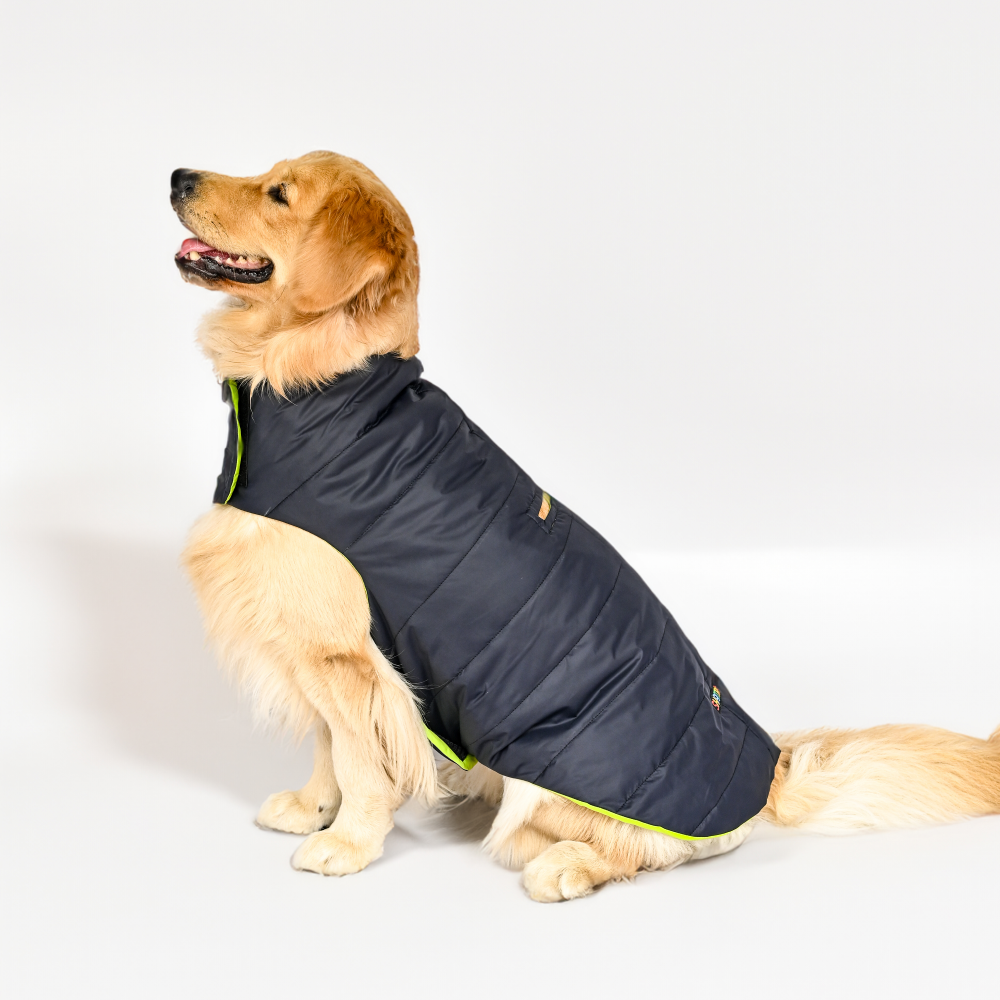 SKATRS Blue Puffer Reversible Jacket for Dogs and Cats | With Adjustable Baby Velcro