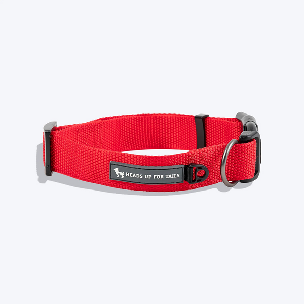 HUFT Basics Adjustable Nylon D Ring Collar for Dogs (Crimson Red)
