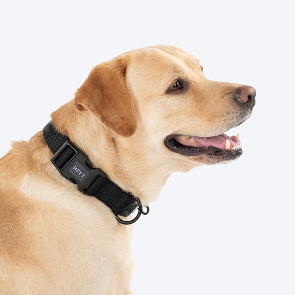 HUFT Classic D Ring Collar for Dogs (Coal Black)