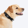 HUFT Classic D Ring Collar for Dogs (Coal Black) Dogs-Collar, Leashes, harnesses Heads Up for Tails